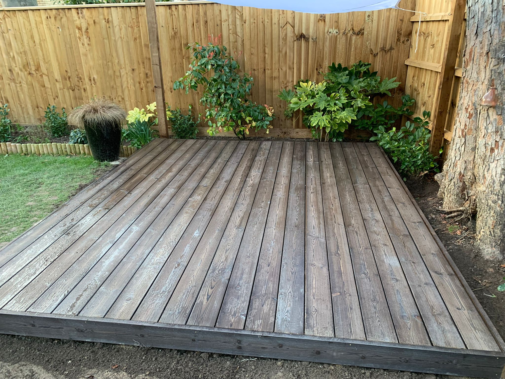 Project photo 2